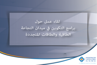 لقاء عمل حول برامج التكوين في ميدان النجاعة الطاقية والطاقات المتجددة
