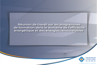 Réunion de travail sur les programmes de formation dans le domaine de l'efficacité énergétique et des énergies renouvelables