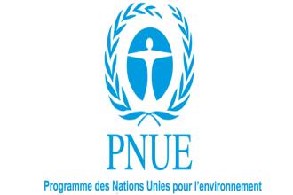 Depletion of the Fund of the Italian Ministry of the Environment of the Earth and Sea through the United Nations Environment Program