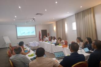 Atelier régional à Bizerte : l'Agence Nationale pour la Maîtrise de l'Énergie et l'ONUDI collaborent pour accélérer la transition vers les voitures électriques en Tunisie.