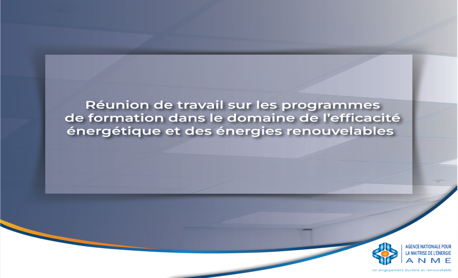 Réunion de travail sur les programmes de formation dans le domaine de l'efficacité énergétique et des énergies renouvelables