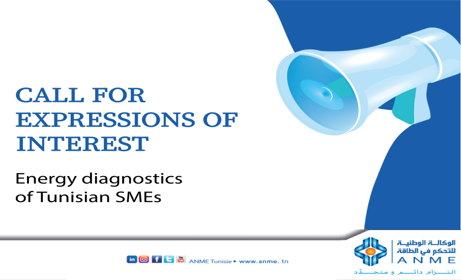 Energy diagnostics of Tunisian SMEs