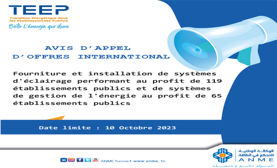 Fourniture et installation de systèmes d'éclairage performant au profit de 119 établissements publics et de systèmes de gestion de l'énergie au profit de 65 établissements publics
