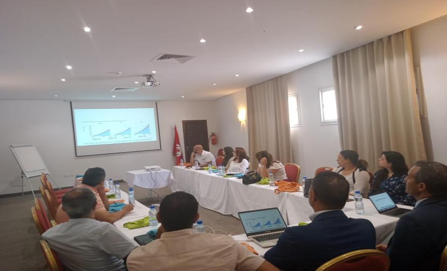 Atelier régional à Bizerte : l'Agence Nationale pour la Maîtrise de l'Énergie et l'ONUDI collaborent pour accélérer la transition vers les voitures électriques en Tunisie.