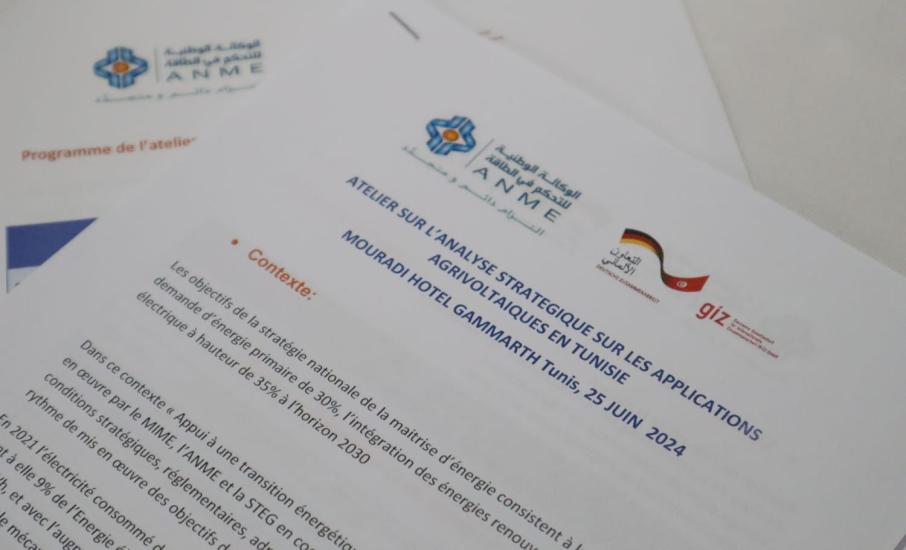 ورشة عمل حول دور الطاقة الشمسية الفطوضوئية في النهوض بالمشاريع في القطاع الفلاحي بتونس