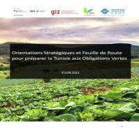 orientation-strategiques-et-feuille-de-route-pour-preparer-la-tunisie-aux-obligations-vertes-01.png